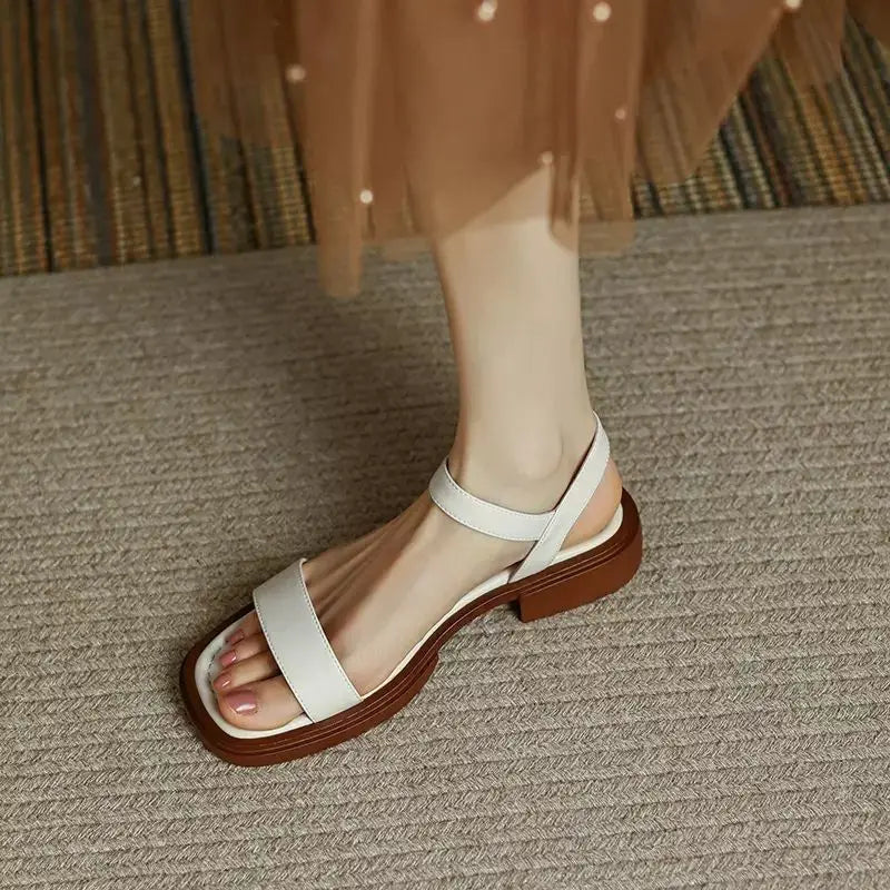 https://cdn.shopify.com/s/files/1/0665/8821/3361/files/S863ceb627d7d43dd9134a166f61cda3ce.webp?v=1774151055