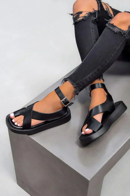 https://cdn.shopify.com/s/files/1/0665/8821/3361/files/10b99d929ddb6edfc46c2a26a012320e.webp?v=1774150951