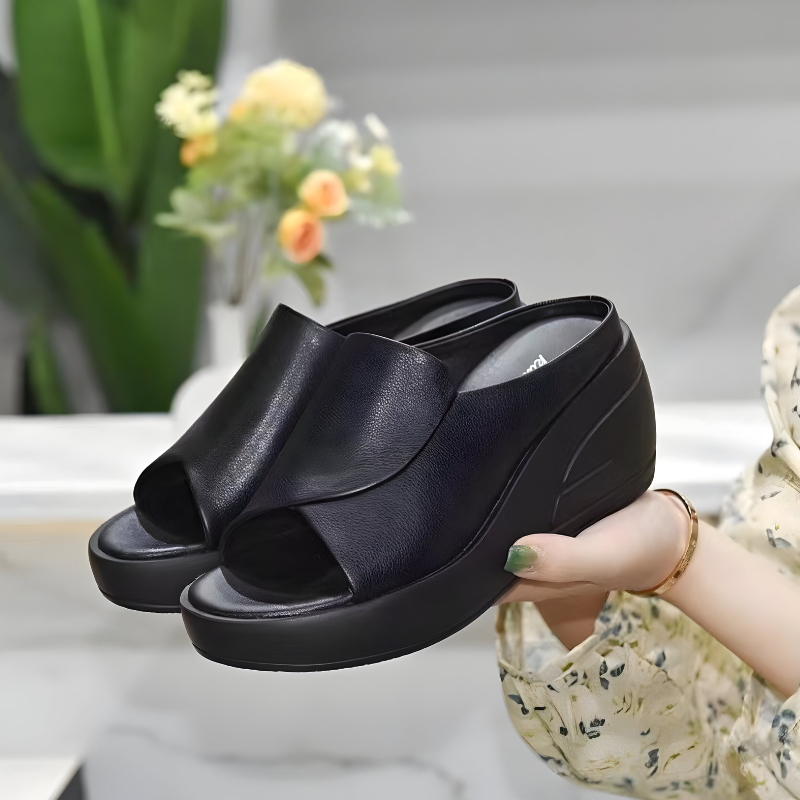 https://cdn.shopify.com/s/files/1/0665/8821/3361/files/2_5e3678ca-1a86-409a-ad9b-98ebcd763806.png?v=1775884459