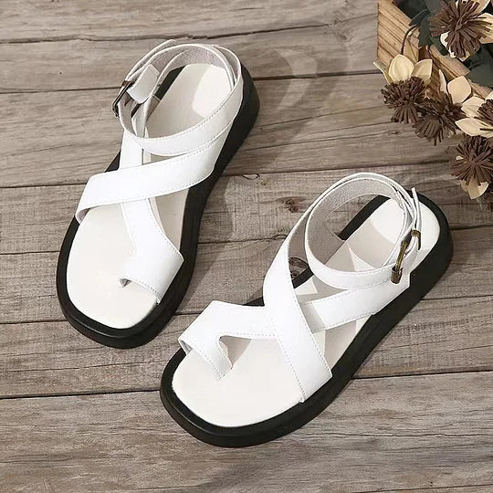 https://cdn.shopify.com/s/files/1/0665/8821/3361/files/45ff7377f376443560d0f17fb47859dd.webp?v=1774150951
