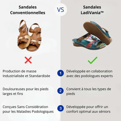 https://cdn.shopify.com/s/files/1/0665/8821/3361/files/Collaborationavecpodologuesexperts_bcf73f75-0127-4fc4-92e5-0573c6dae356.jpg?v=1774149539