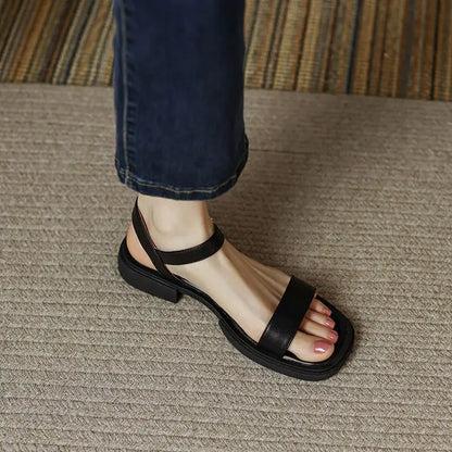 https://cdn.shopify.com/s/files/1/0665/8821/3361/files/S473f9721329c4468a7b0501ce2325282B.webp?v=1774151054
