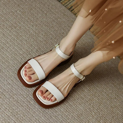 https://cdn.shopify.com/s/files/1/0665/8821/3361/files/S798cf983b0bf422cbdc6efc5d54b991cP.webp?v=1774151055