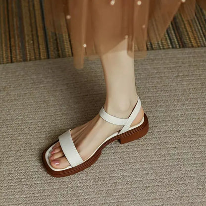 https://cdn.shopify.com/s/files/1/0665/8821/3361/files/S863ceb627d7d43dd9134a166f61cda3ce.webp?v=1774151055